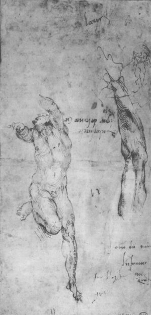 Michelangelo - Male nude; arm; bearded man