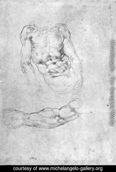 Michelangelo - Studies for Pieta or The Last Judgement