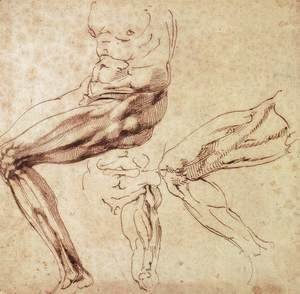 Michelangelo - Three Studies of a Leg
