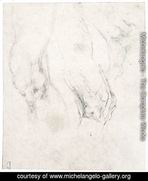 Michelangelo - Study Of A Left Thigh And Knee, With A Separate Study Of A Right Knee Seen In Profile, And A Right Foot