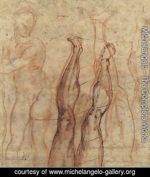 Michelangelo - Studies of a leg and foot sketched the other way up