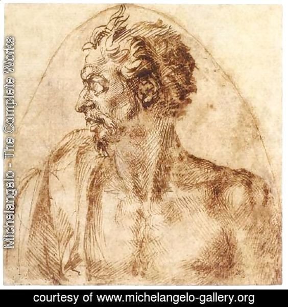 Michelangelo - Head of a Satyr