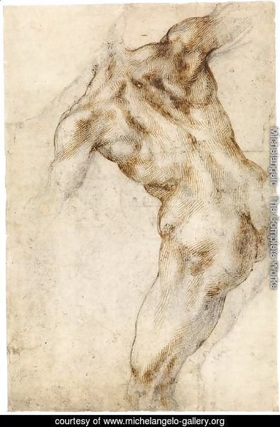 Male Nude, Seen from the Rear (recto)