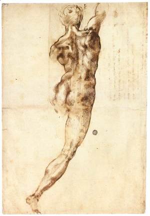 Michelangelo - Male Nude, Seen from the Rear