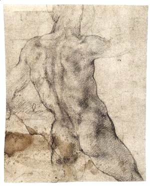 Michelangelo - Male Nude, Seen from the Rear (recto) 2