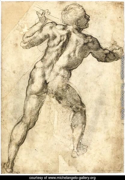 Male Nude, Seen from the Rear (recto) 3