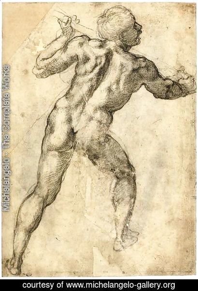 Michelangelo - Male Nude, Seen from the Rear (recto) 3