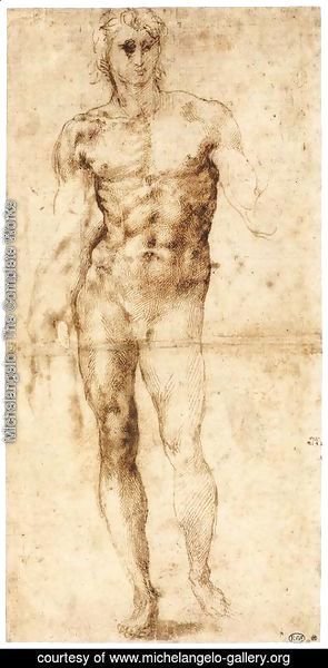 Michelangelo - Male Nude (recto)