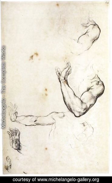 Michelangelo - Study of Adam