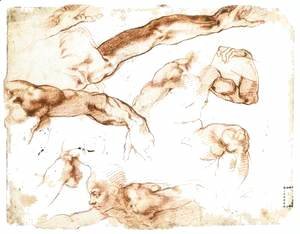 Various Studies of Figures and Limbs (verso)
