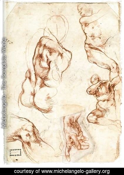 Michelangelo - Various figure Studies (verso)