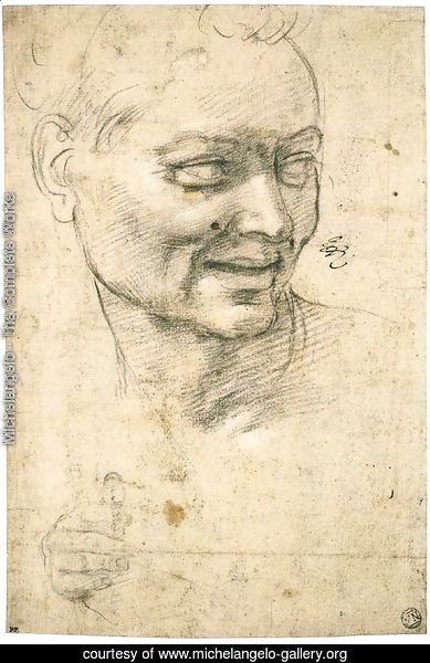 Head Study of a Smiling Youth (recto)