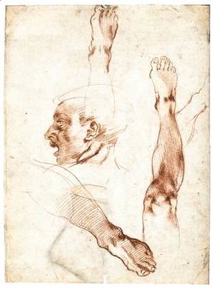 Michelangelo - Male Head in Profile and Leg Studies (recto)