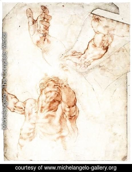 Michelangelo - Five Studies for the Figure of Haman (recto)