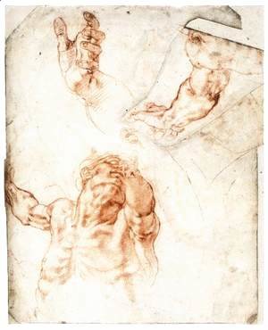 Michelangelo - Five Studies for the Figure of Haman (recto)