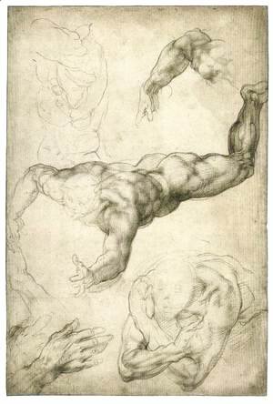 Michelangelo - Studies for a Flying Angel (recto)