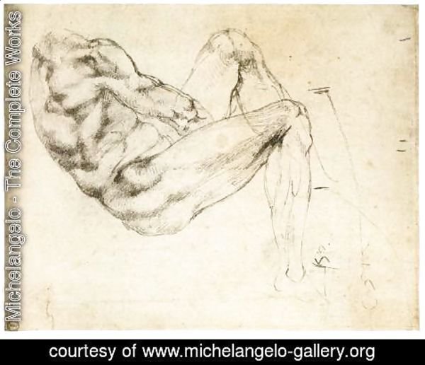 Michelangelo - Male Torso (recto)