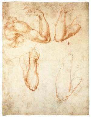 Michelangelo - Four Studies of a Bent Arm (verso)