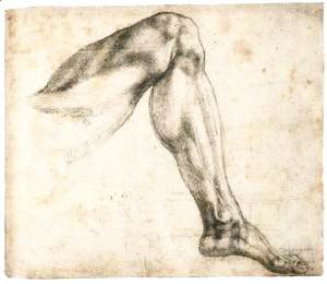 Michelangelo - Study of a Left Leg (recto)