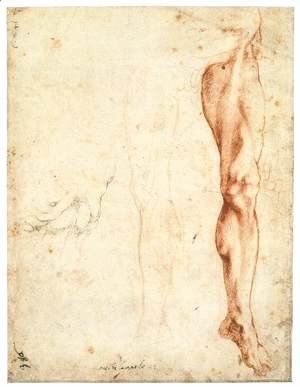 Michelangelo - Study of a Left Male Leg (verso)