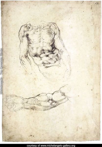 Upper Body of a Sitting Man and Study of a Right Arm (recto)