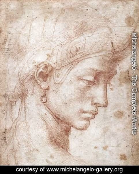 Michelangelo - Ideal Face