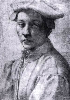 Michelangelo - Andrea Quaratesi