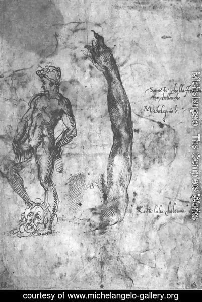 Michelangelo - Study For An Arm Of The Marble David And The Figure Of The Bronze David