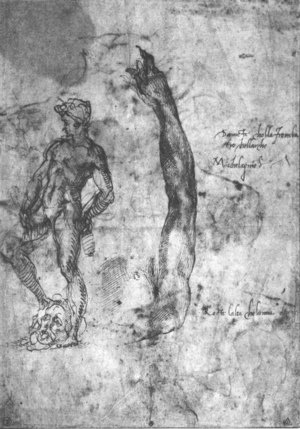 Michelangelo - Study For An Arm Of The Marble David And The Figure Of The Bronze David