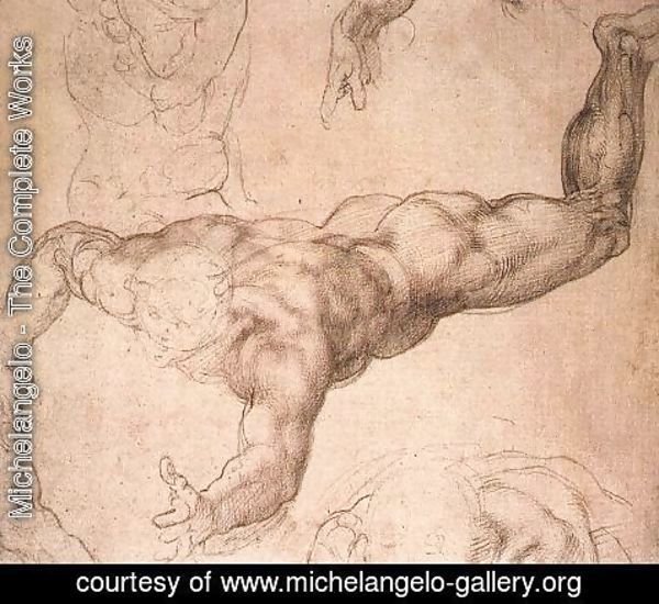 Michelangelo - Male Figure 1530s