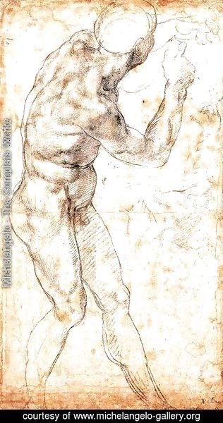 Michelangelo - Male Nude 1504-06