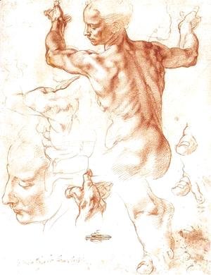 Michelangelo - Study for the Libyan Sibyl 1511