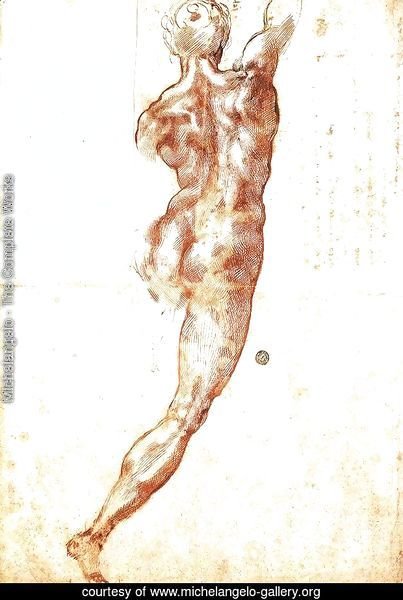 Study for a Nude 1504