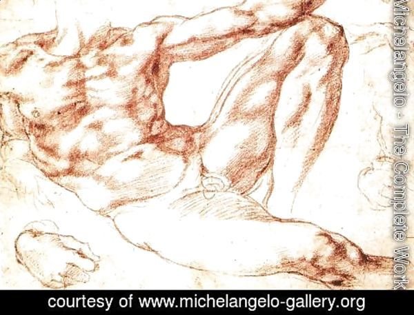 Michelangelo - Study for Adam c. 1510