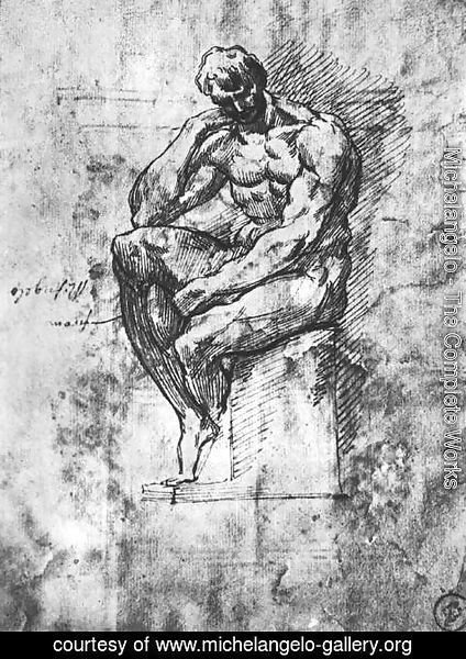 Michelangelo - Study of a Man 1510-11