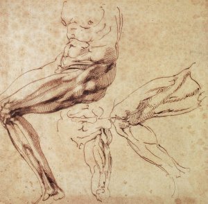Three Studies of a Leg