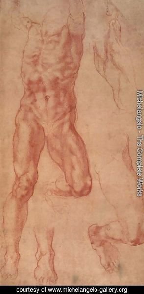 Michelangelo - Study for Haman