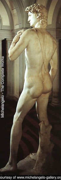 Michelangelo - David (side-rear view)