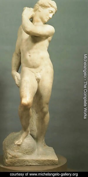 Michelangelo - David-Apollo