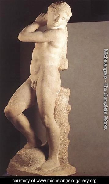 Michelangelo - David-Apollo [detail: 1]