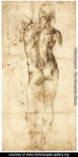 Michelangelo - Standing Male Nude, Seen from the Rear (recto)