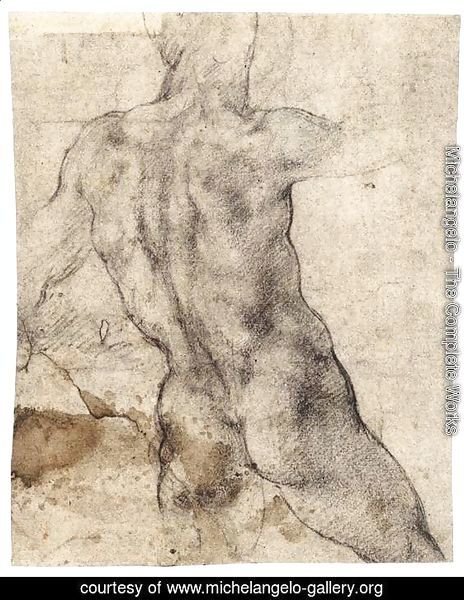 Male Nude, Seen from the Rear (recto) 2
