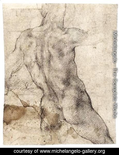 Michelangelo - Male Nude, Seen from the Rear (recto) 2