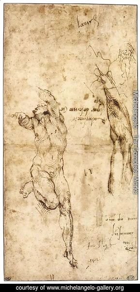 Michelangelo - Various Studies (verso)