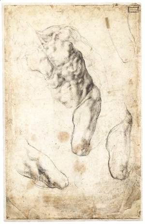 Michelangelo - Studies of a Male Torso and Left Leg (verso)