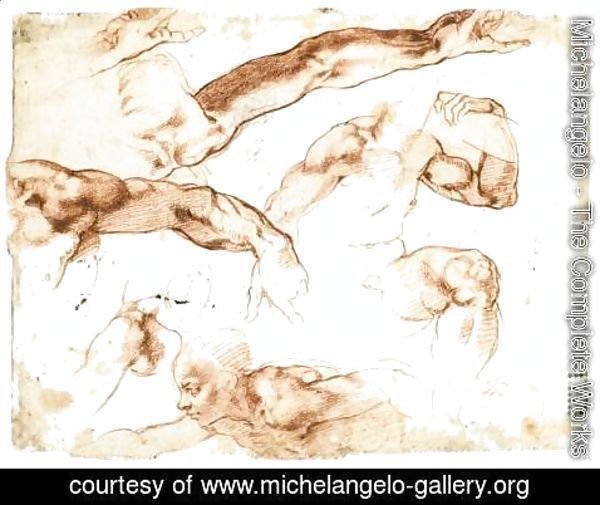 Michelangelo - Various Studies of Figures and Limbs (verso)