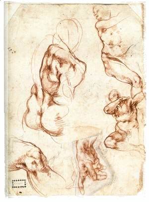 Michelangelo - Various figure Studies (verso)