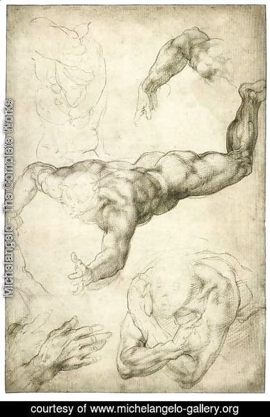 Michelangelo - Studies for a Flying Angel (recto)
