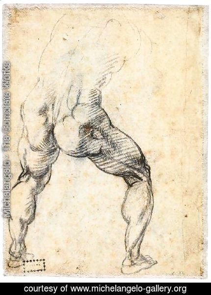 Michelangelo - Male Nude, Seen from the Rear (verso)