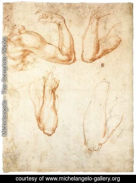 Michelangelo - Four Studies of a Bent Arm (verso)